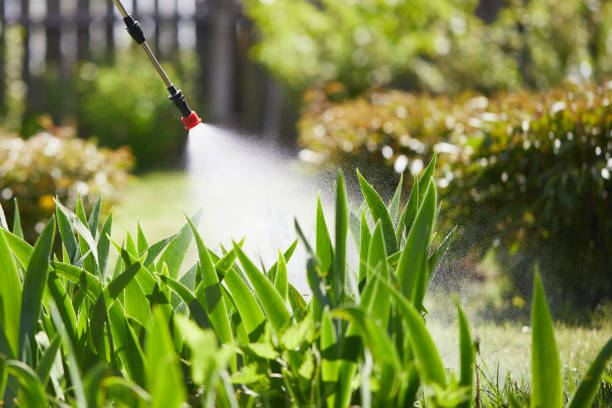 24/7 Emergency Wasp Removal experts in Jamestown, CA