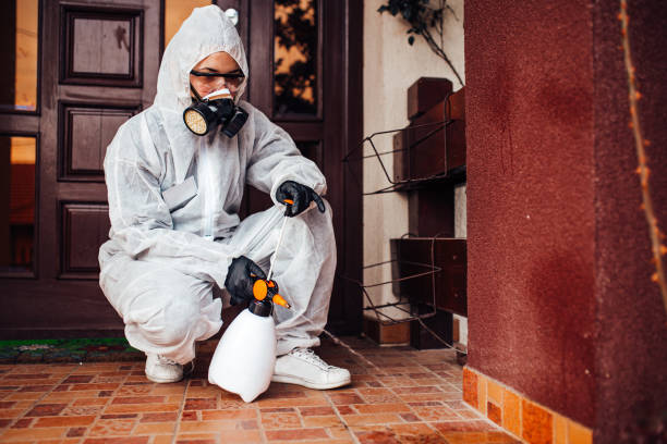 Reliable Wasp Removal contractor in Jamestown, CA by Show Me Pest Control